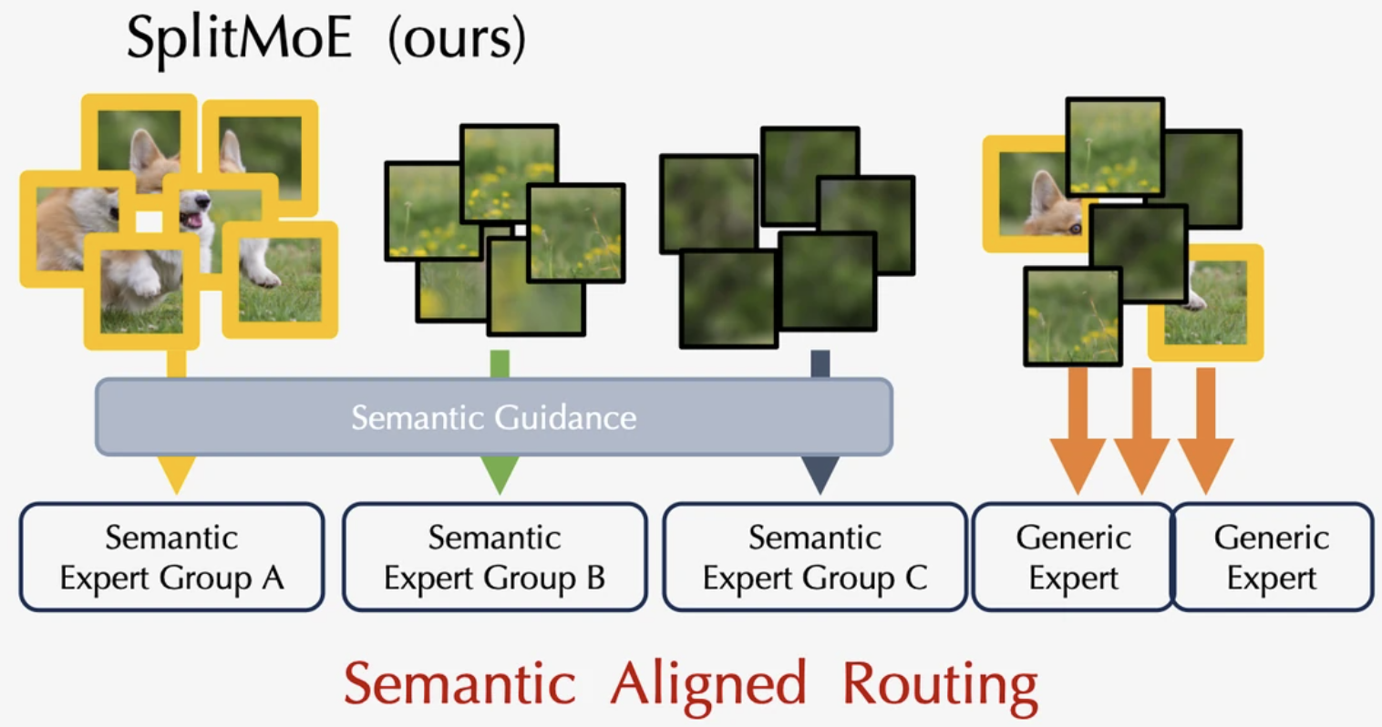 SplitMoE